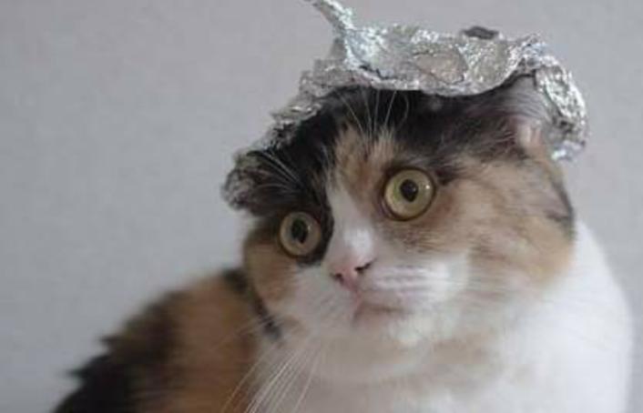 Name:  Polish_٢٠٢٣٠٦١٣_١٢٣٥٥١١٤٨.jpg
Views: 52
Size:  22.8 KB