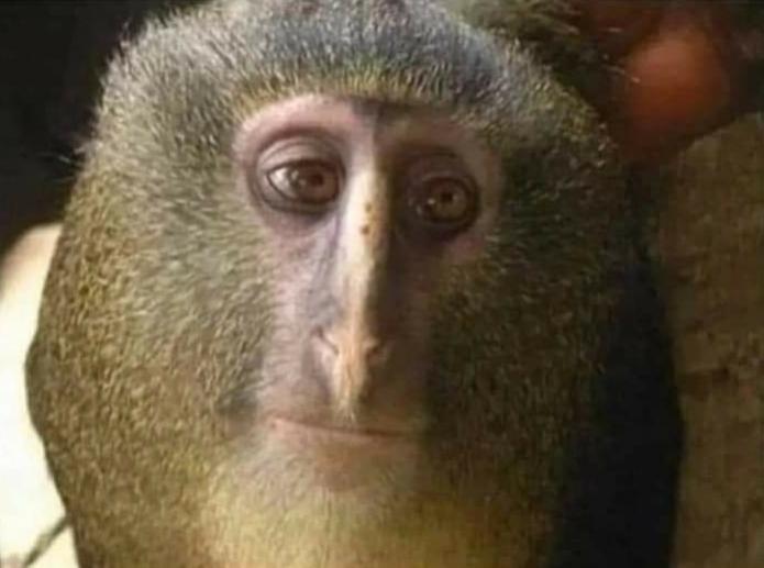 Name:  Polish_٢٠٢٣٠٦١٣_٢٣١٩٣٣١٣٢.jpg
Views: 47
Size:  34.5 KB