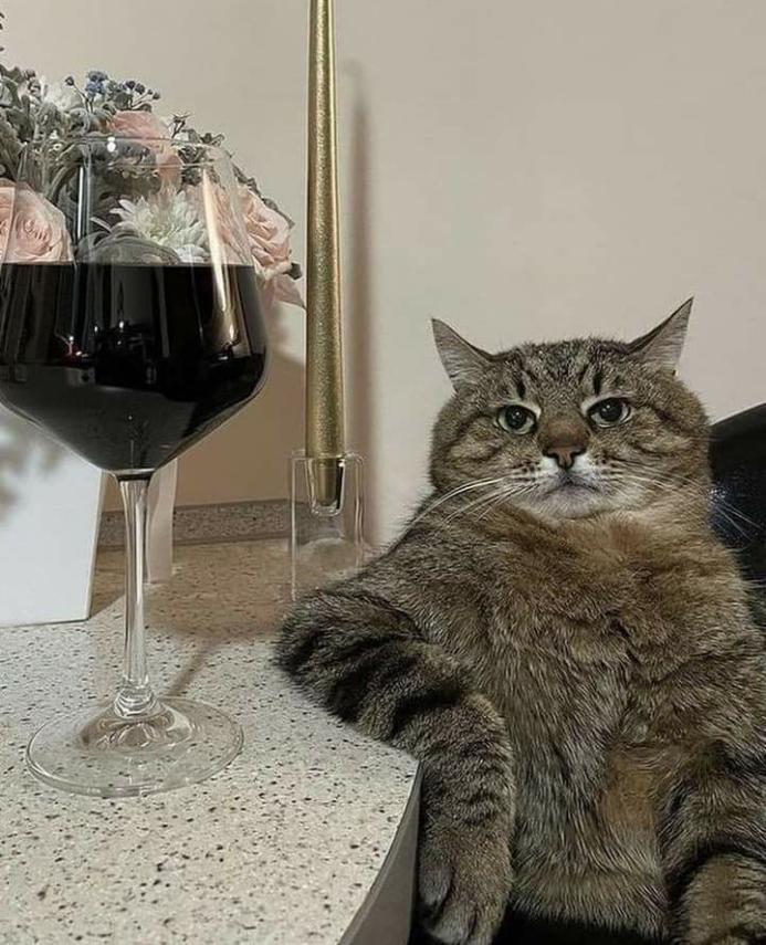 Name:  Polish_٢٠٢٣٠٦١٣_١٢٣٢٣٧٢٩١.jpg
Views: 38
Size:  93.3 KB