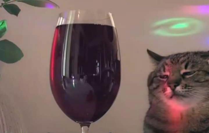 Name:  Polish_٢٠٢٣٠٦١٣_١٢٣٣٠٢٩٩٤.jpg
Views: 39
Size:  20.8 KB