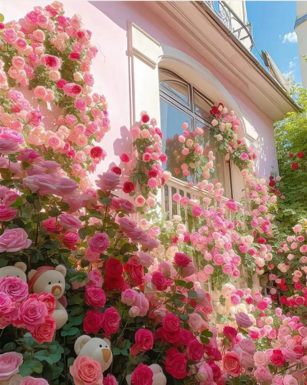 Name:  Polish_٢٠٢٣٠٦١٤_١٩٣٨٠٨٧٦١.jpg
Views: 563
Size:  98.4 KB