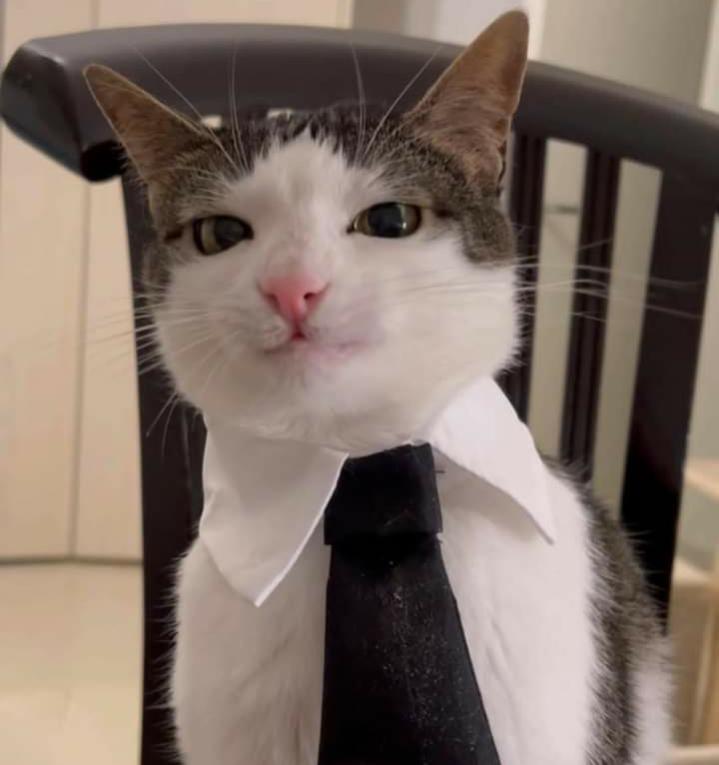 Name:  Polish_٢٠٢٣٠٦١٤_١٩٣٩٣٧٩٩٦.jpg
Views: 1212
Size:  38.7 KB