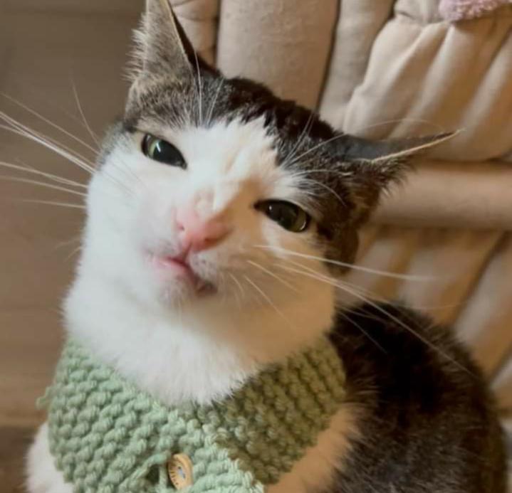 Name:  Polish_٢٠٢٣٠٦١٤_١٩٤٠١٨٣١٦.jpg
Views: 1210
Size:  44.7 KB