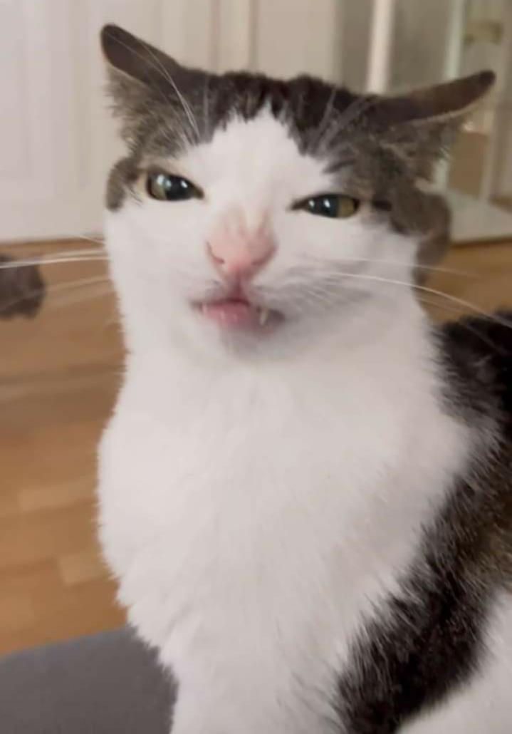 Name:  Polish_٢٠٢٣٠٦١٤_١٩٣٩٥٨٦٢٣.jpg
Views: 1201
Size:  39.9 KB