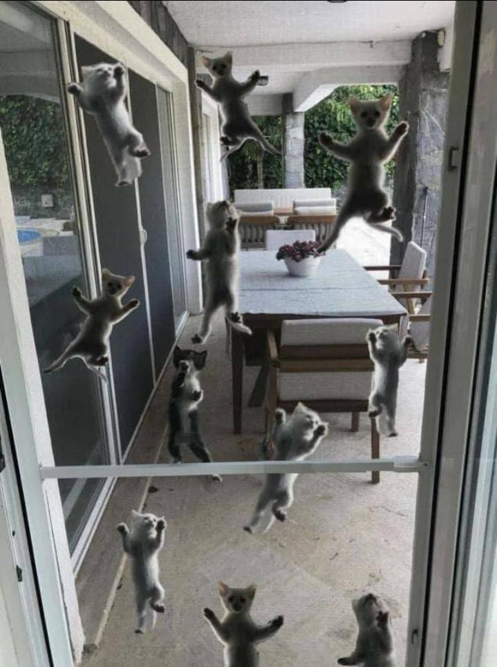 Name:  ٢٠٢٣٠٤٢٠_١٩١٥١٤.jpg
Views: 1220
Size:  88.0 KB