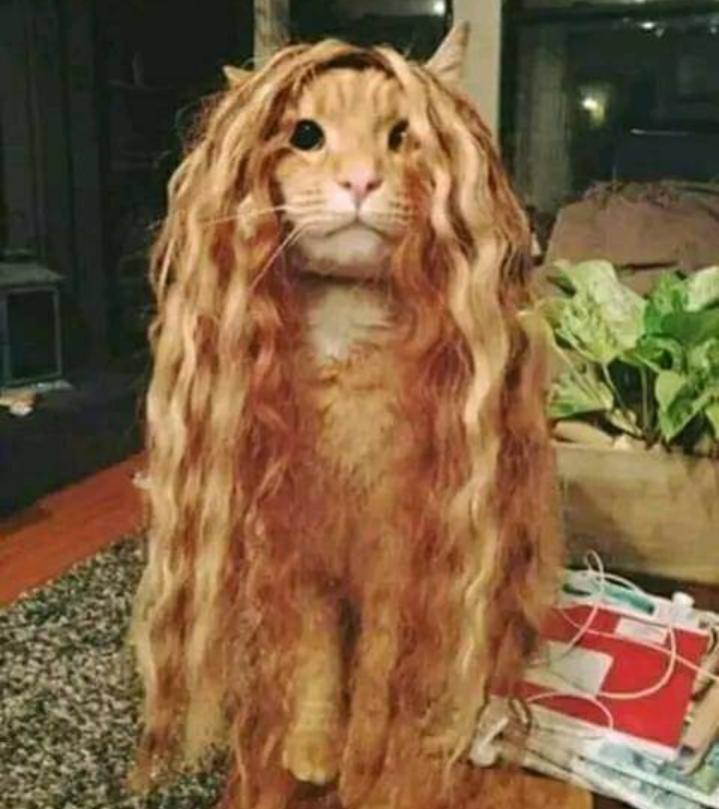 Name:  ٢٠٢٢١٢٢٧_٢٠٣١٠٢.jpg
Views: 1189
Size:  62.8 KB