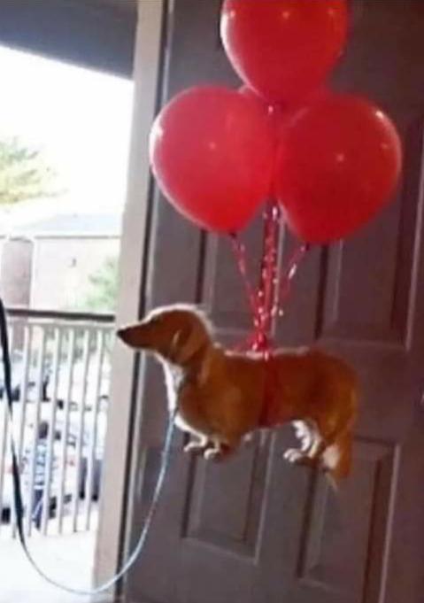 Name:  Polish_٢٠٢٣٠٦١٣_٢٣٢٠٢٠١٥٩.jpg
Views: 1199
Size:  26.8 KB