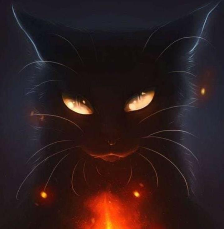 Name:  Polish_٢٠٢٣٠٦١٤_١٩٣٥٤٥٥١٤.jpg
Views: 696
Size:  29.4 KB