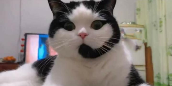 Name:  Polish_٢٠٢٣٠٦١٤_١٩٤٨٥١١١٢.jpg
Views: 672
Size:  20.1 KB