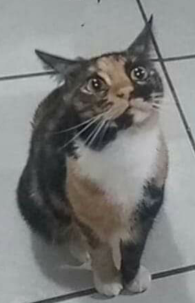 Name:  Polish_٢٠٢٣٠٦١٤_١٩٤٩٢١٦١٤.png
Views: 675
Size:  91.1 KB