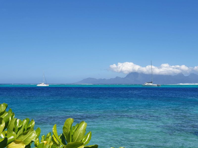 Name:  20190922_125012.jpg
Views: 92
Size:  56.3 KB