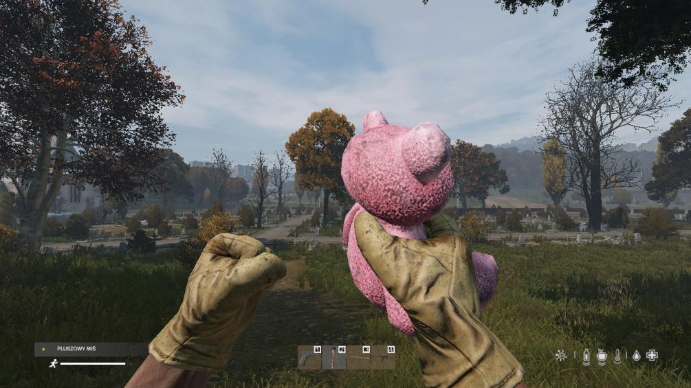 Name:  DayZ.jpg
Views: 531
Size:  98.8 KB