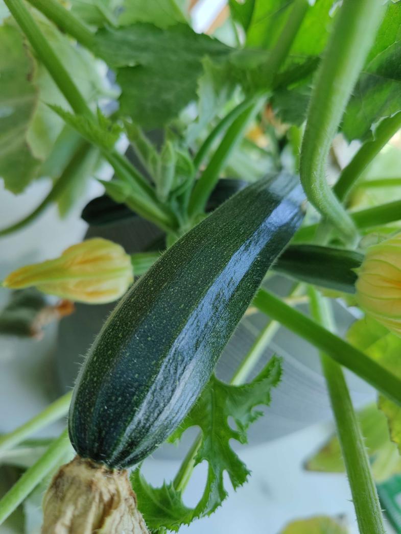 Name:  IMG_20220814_135741.jpg
Views: 40
Size:  87.7 KB