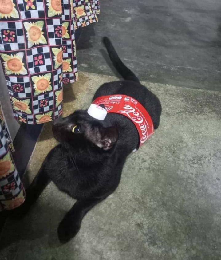 Name:  Polish_٢٠٢٣٠٦١٦_٢٠٢٣٤٦٦٦٨.jpg
Views: 977
Size:  74.0 KB