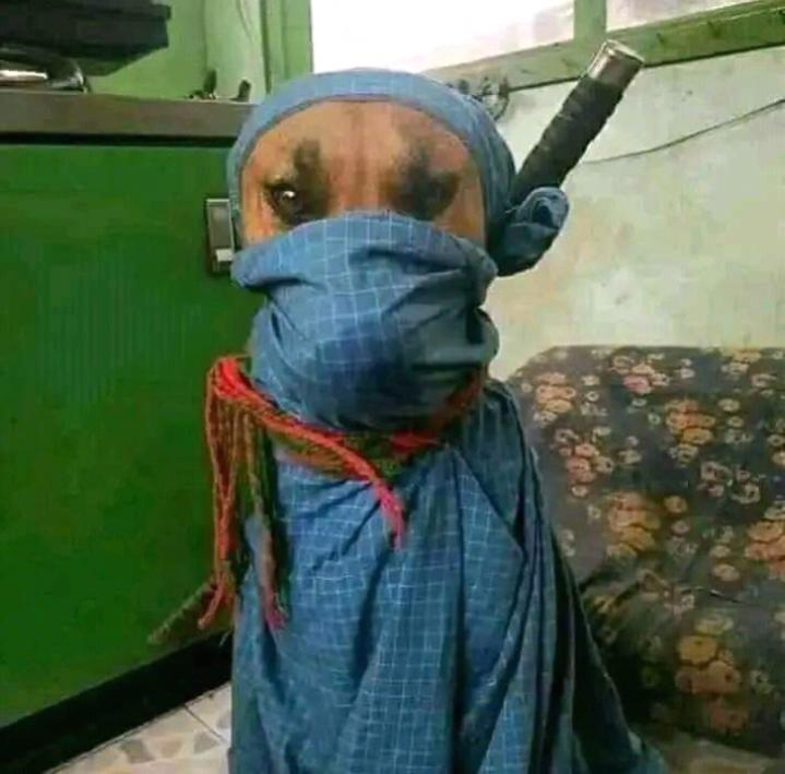 Name:  Polish_٢٠٢٣٠٦١٦_٢٠١٩٤٤١٧٠.jpg
Views: 244
Size:  51.5 KB