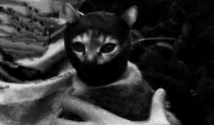 Name:  Polish_٢٠٢٣٠٦١٦_٢١٠٤٤٧٦٩٧.jpg
Views: 236
Size:  23.5 KB