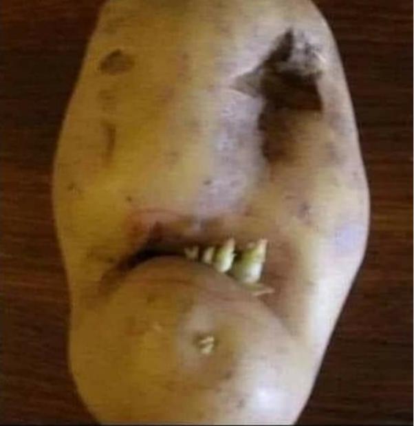 Name:  Polish_٢٠٢٣٠٦١٦_٢١٣٠٢٩٧١٧.jpg
Views: 489
Size:  26.4 KB