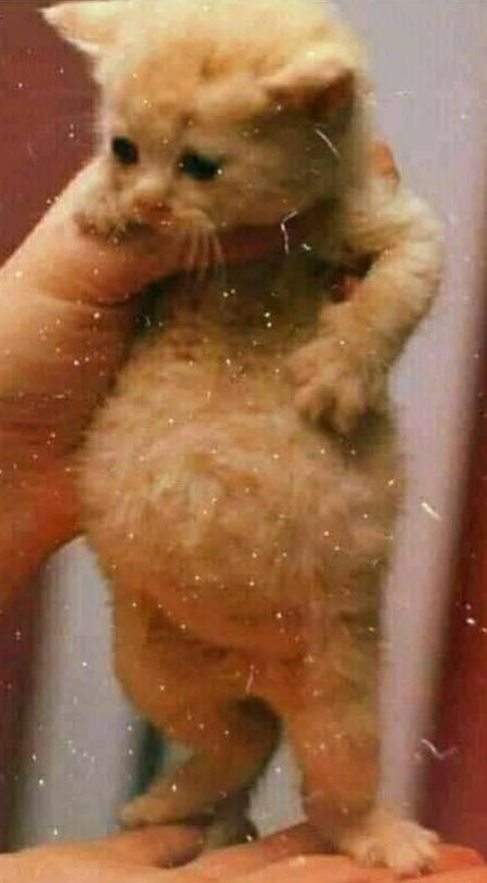 Name:  Polish_٢٠٢٣٠٦١٦_٢٠٥٨٣٧٧٠٢.jpg
Views: 421
Size:  35.0 KB