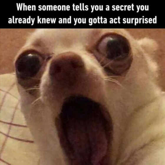 Name:  memes-pics-funny-pictures-gf2zs3ja7g0xxyeb.jpg
Views: 54
Size:  21.6 KB