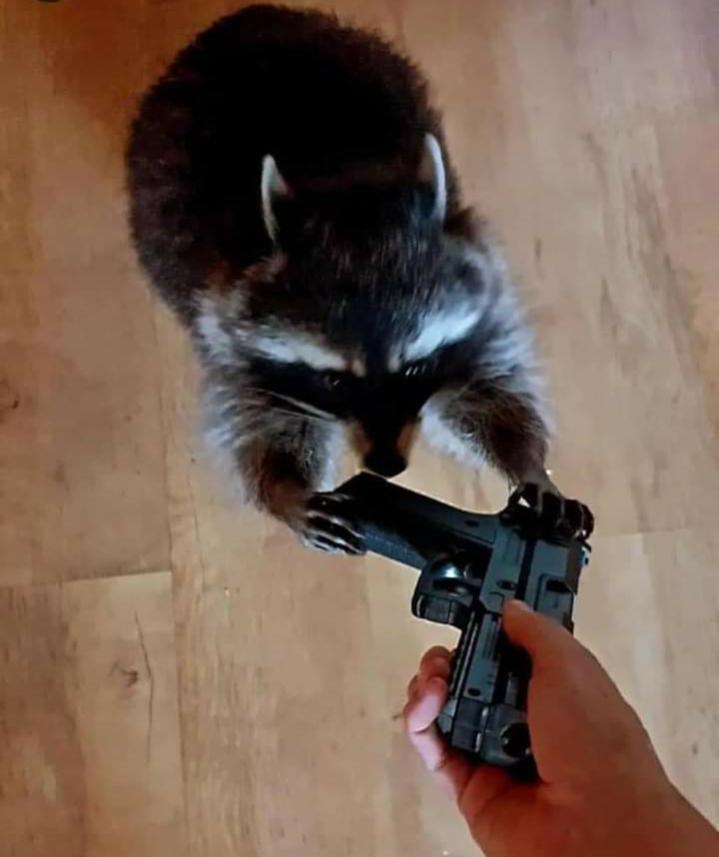 Name:  Polish_٢٠٢٣٠٦١٦_٢١٠٣٥٤٤٥١.jpg
Views: 329
Size:  42.2 KB