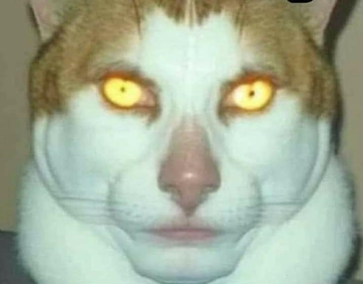 Name:  Polish_٢٠٢٣٠٦١٦_٢١٢٩٤٤٦٣٥.jpg
Views: 406
Size:  25.5 KB