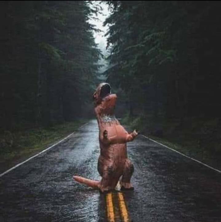 Name:  Polish_٢٠٢٣٠٦١٤_١٩٣٥٢٢٥٧٦.jpg
Views: 408
Size:  43.5 KB