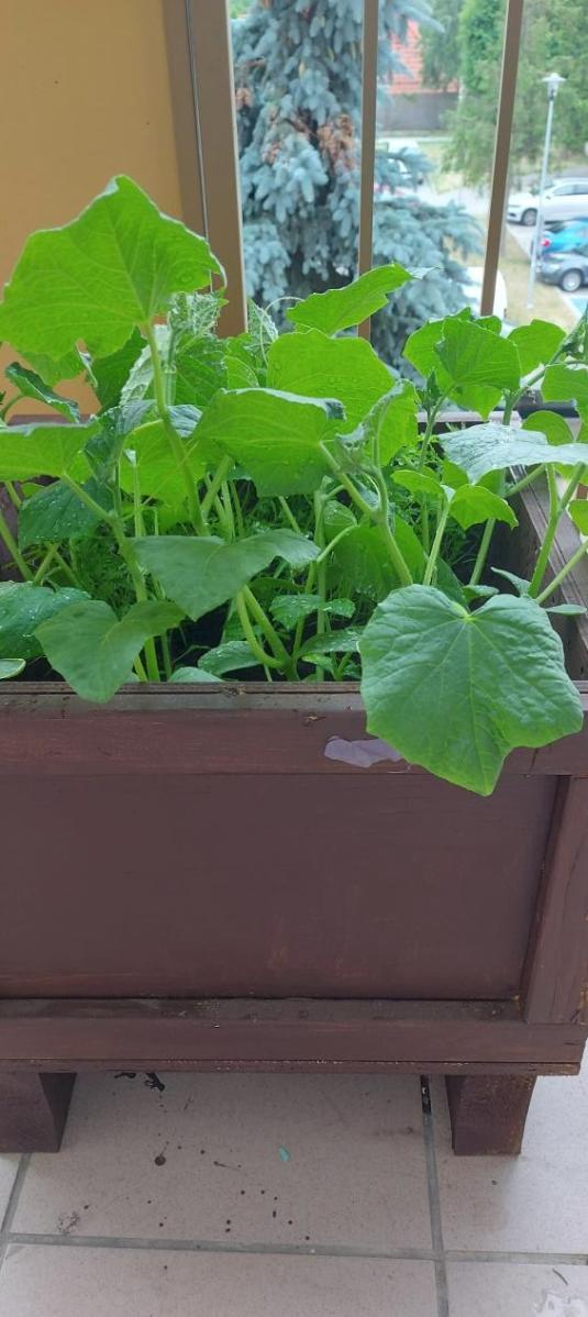 Name:  Screenshot2023-06-22152637.jpg
Views: 44
Size:  78.1 KB