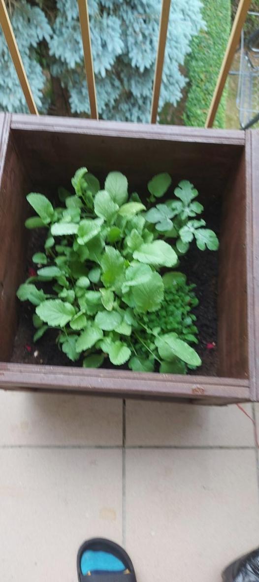 Name:  Screenshot2023-06-22152715.jpg
Views: 43
Size:  70.0 KB