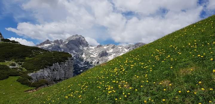 Name:  FB_IMG_1687616030178.jpg
Views: 232
Size:  40.9 KB