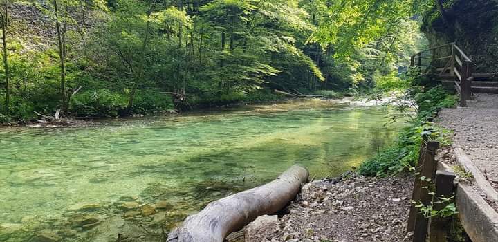 Name:  FB_IMG_1687616051905.jpg
Views: 233
Size:  56.0 KB