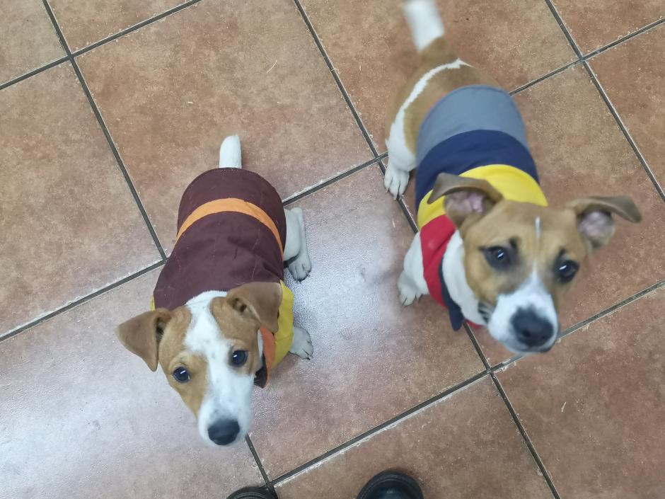 Name:  IMG_20210720_171016.jpg
Views: 344
Size:  96.4 KB