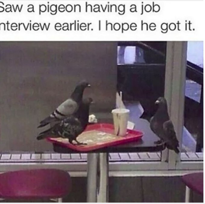 Name:  20230624_195608.jpg
Views: 14
Size:  56.2 KB