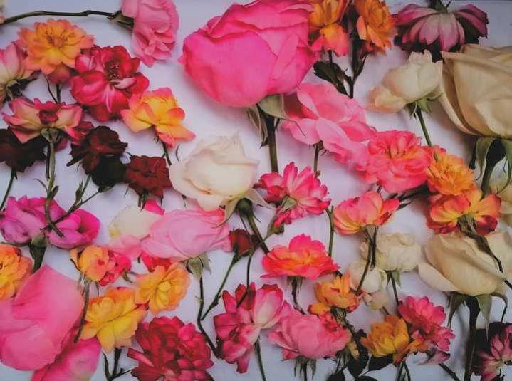 Name:  ٢٠٢٣٠٦٢٤_١٤١٦٥٩.jpg
Views: 710
Size:  58.1 KB