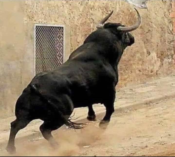 Name:  Polish_٢٠٢٣٠٦٢٦_١٧٠٥٠١٠٥٤.jpg
Views: 420
Size:  57.4 KB