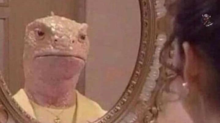 Name:  ٢٠٢٣٠٦٢٤_١٤١٥٤١.jpg
Views: 423
Size:  21.1 KB