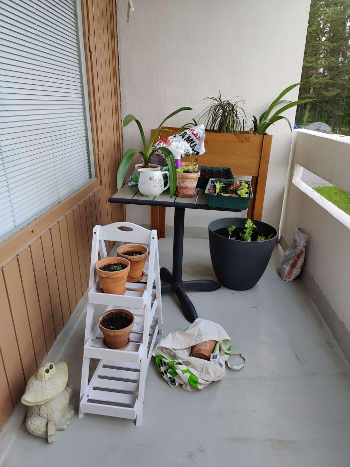 Name:  IMG20230627123143.jpg
Views: 52
Size:  95.0 KB