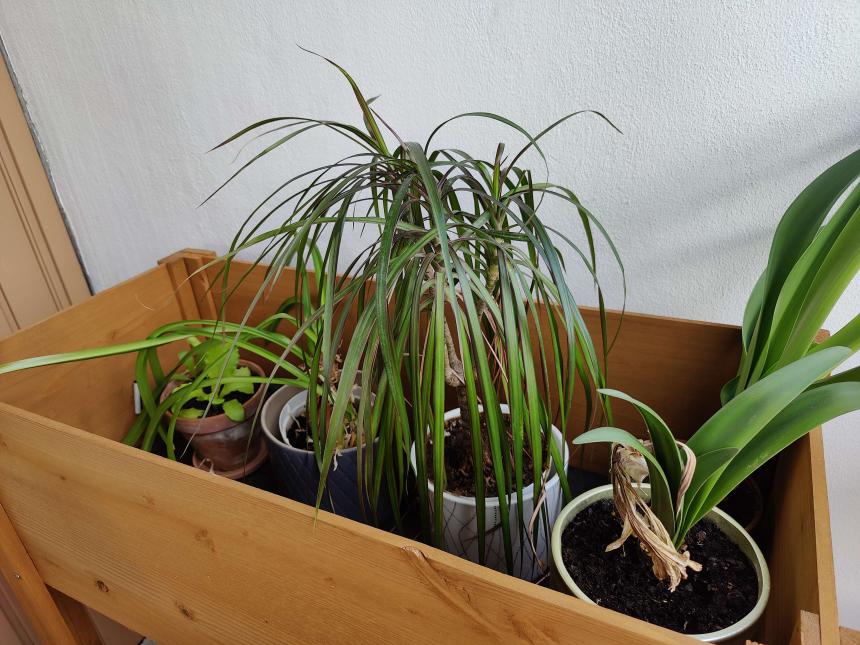 Name:  IMG20230627123209.jpg
Views: 55
Size:  96.9 KB