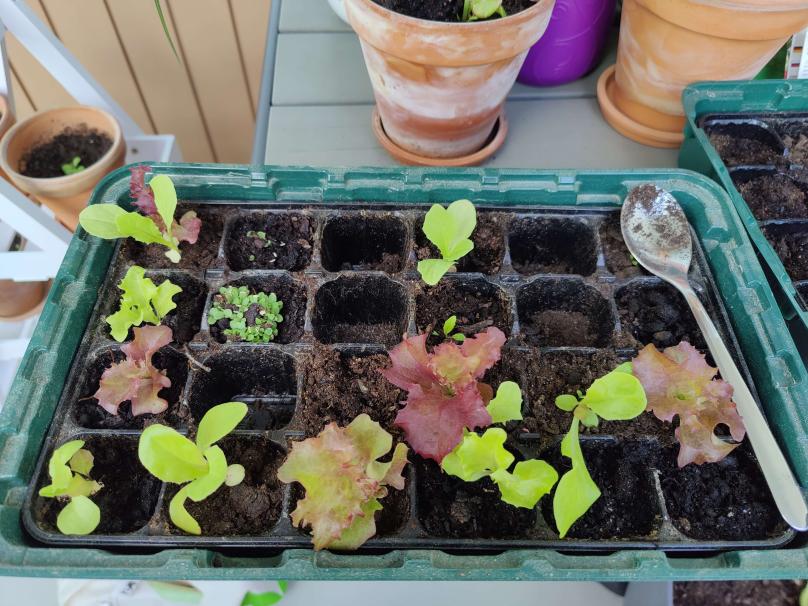 Name:  IMG20230627123216.jpg
Views: 57
Size:  98.0 KB