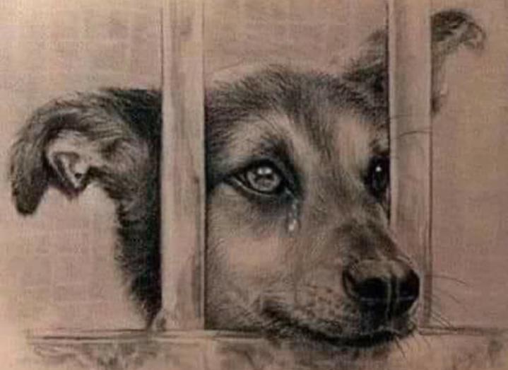 Name:  ٢٠٢٣٠٦٢٤_١٤١٠٠١.jpg
Views: 510
Size:  38.3 KB