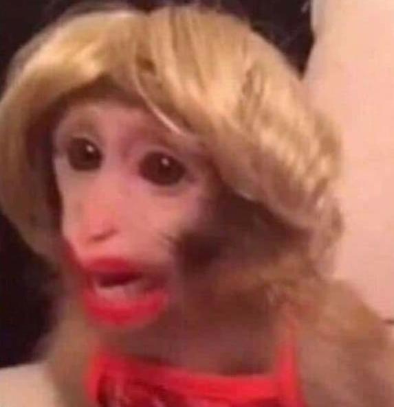 Name:  Polish_٢٠٢٣٠٦١٦_٢١٥٥١١٣٣٢.jpg
Views: 494
Size:  22.4 KB