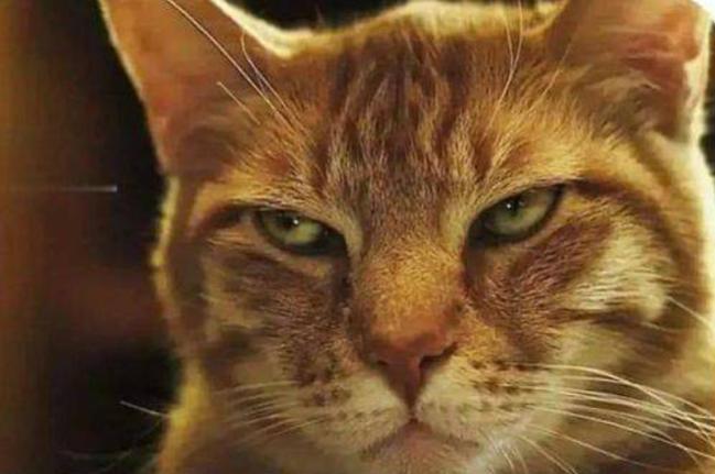 Name:  Polish_٢٠٢٣٠٦١٦_٢١٥٢٢٩١٢٨.jpg
Views: 910
Size:  35.9 KB