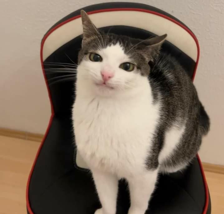 Name:  ٢٠٢٣٠٦٢٤_١٤١٢١٩.jpg
Views: 648
Size:  34.8 KB