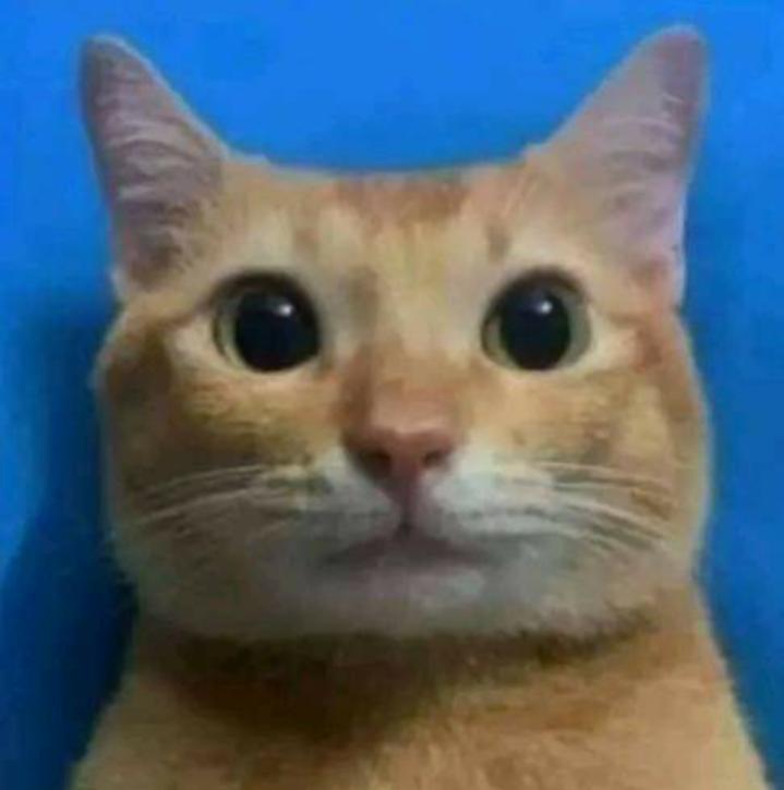 Name:  ٢٠٢٣٠٦٢٤_١٤١٠٥٨.jpg
Views: 762
Size:  31.7 KB