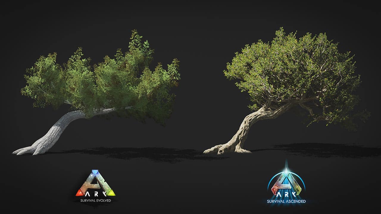 Name:  ASA-Tree.jpg
Views: 345
Size:  72.6 KB