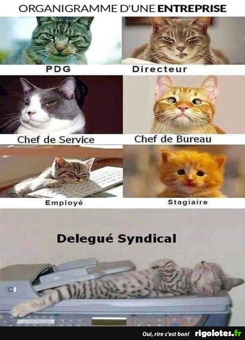 Name:  Fz45EiYWYAALwa3.jpg
Views: 18
Size:  69.2 KB