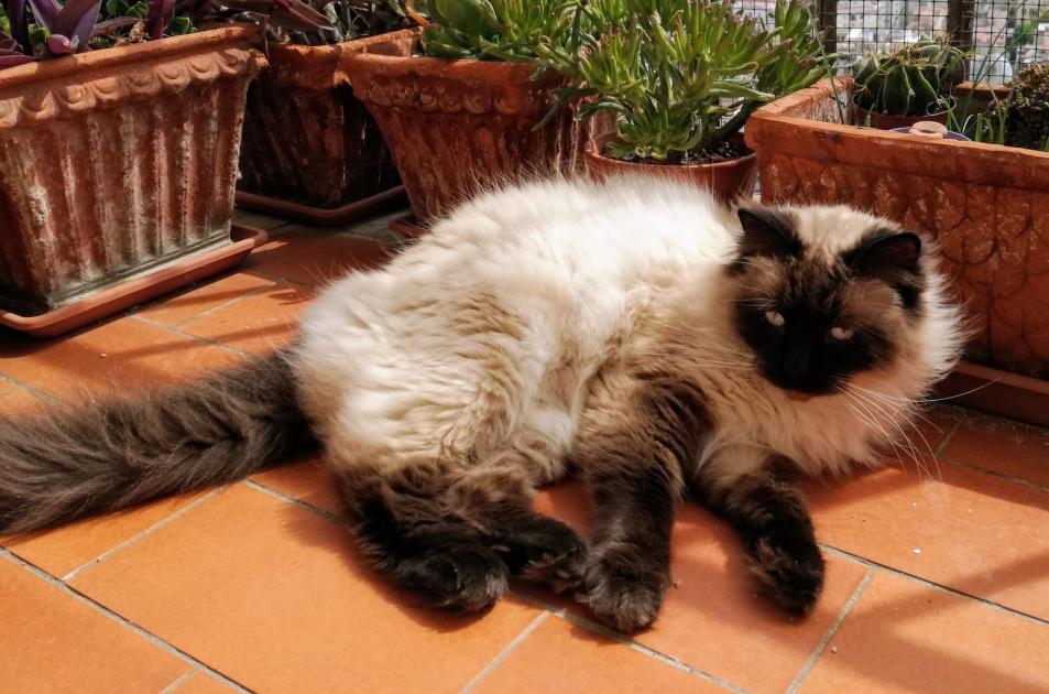 Name:  Prince 1.jpg
Views: 124
Size:  97.0 KB