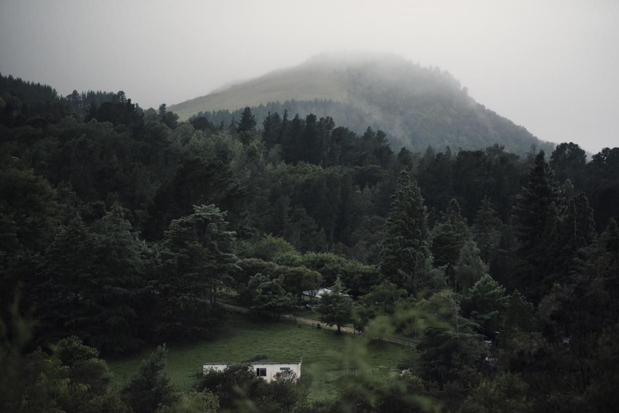 Name:  DSC_8379.jpg
Views: 206
Size:  92.4 KB