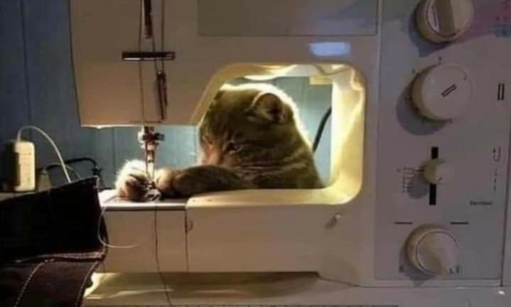 Name:  ٢٠٢٣٠٦٢٤_١٤١٨٢٤.jpg
Views: 331
Size:  24.8 KB