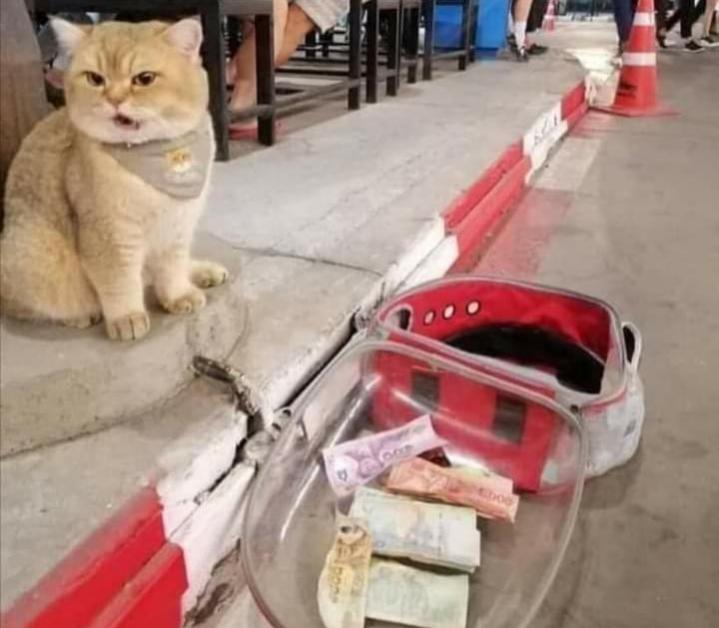 Name:  ٢٠٢٣٠٦٢٤_١٤١٨٤٢.jpg
Views: 322
Size:  48.4 KB