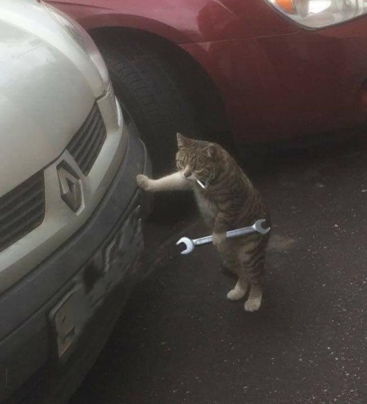 Name:  Polish_٢٠٢٣٠٦٢٤_١٤٤١٤٥٥٤٤.jpg
Views: 433
Size:  41.6 KB